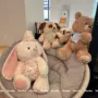 儿童床上生日卡通布娃娃