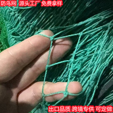 ��ɫ�Gɫ2cm 5cm�׾���ϩ�r�I���B�Wˮ�a�Bֳ���ľWbird net�羳