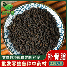 补骨脂中药材破故纸黑故子胡韭子破故纸批发供应现货量大价优