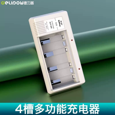 Hibrid akkumulyator batareyaları | D type - 4-slot-charger