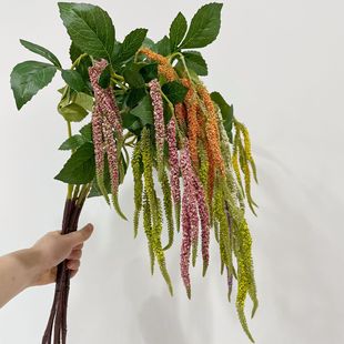 �S��ֱ�Nľ�ӻ� ëë�x ������滨�Ҿ��b�c�ٻ����滨ˇܛ�b