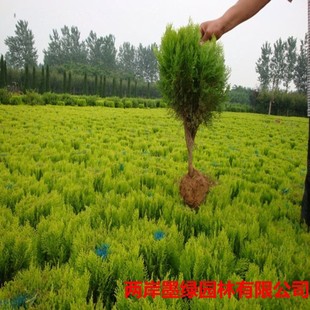 ������� ��؂Ȱ��S�^�� ��ľ�����l�ļ�ͥԺ���̾G�������ԾG�h