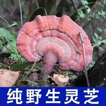 Ұ`֥r֥ܳȻƬ`֥ݾƸ`֥l