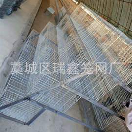 厂家生产育雏笼 全自动层叠式雏鸡笼  鸡舍自动门养殖设备