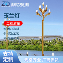 户外LED景观灯玉兰灯市政照明工程中华灯景区公园主干道道路照明