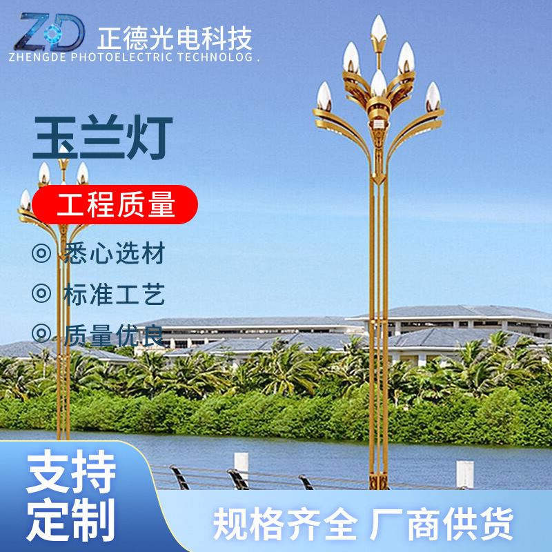 户外LED景观灯玉兰灯市政照明工程中华灯景区公园主干道道路照明
