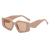 Retro brand fashionable sunglasses, trend glasses, 2022 collection, European style