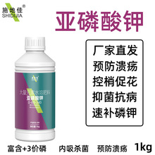 �F؛�S���r�Á�����⛿��ҿ����־����������ɫ����Ԫ���~�����