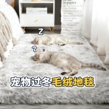 ����ë̺��˺ҧС����؈��|��˯�X�ö��Ӻ�ë�q��������̺