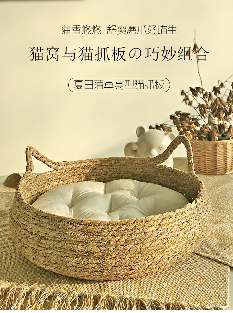 c4f38aea-290c-436f-907d-5167e240a7e5.jpe