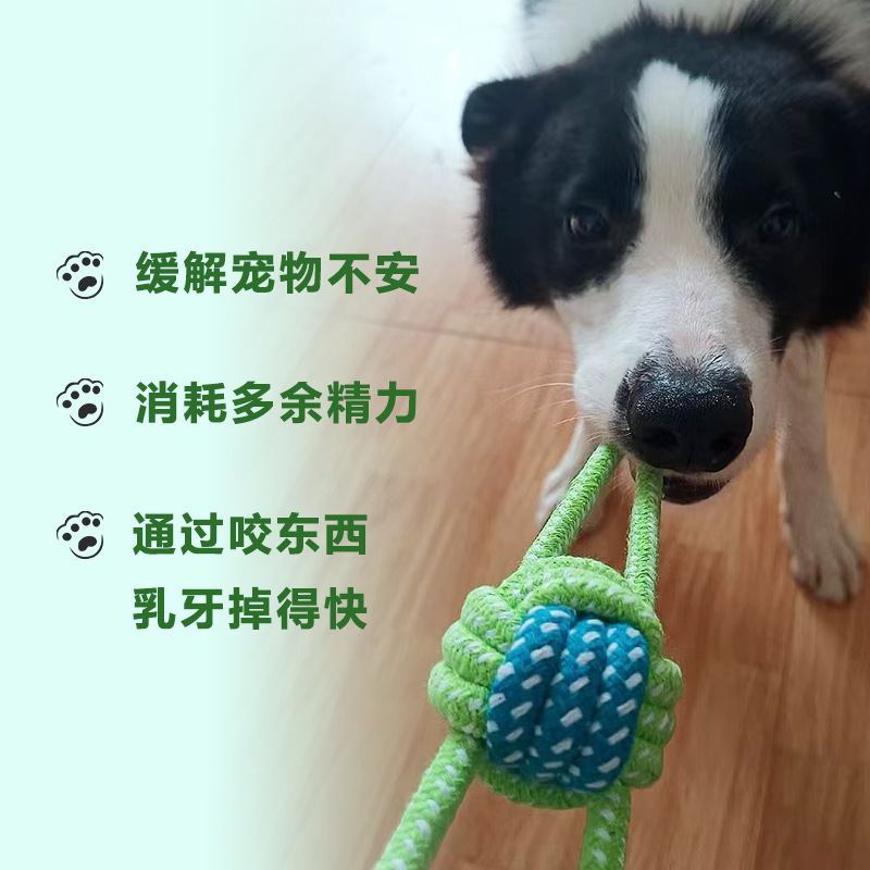 跨境厂家啃咬狗狗玩具小狗泰迪磨牙棒小型犬金毛洁齿绳结训犬玩具|undefined