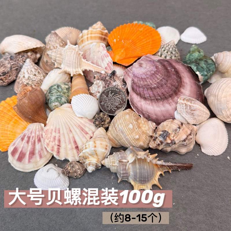 石塑粘土贝壳冰箱贴手工制作DIY海螺贝壳玛瑙免烧免考材料包|undefined