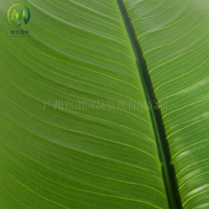 Simulación transfronteriza de hojas grandes, plantas verdes, plantas en macetas, bonsái de plátano para viajeros, sala de estar de alta gama, gran simulación, bonsái de pájaro del paraíso