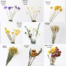 ɻdiybM޻͏d[Oֲ滨޹ɻ