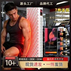 其他专用灯具;服务商品;红外线灯