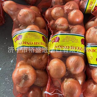 �����������[�������SƤ���[�������S���[�����[���ڣ����[���S