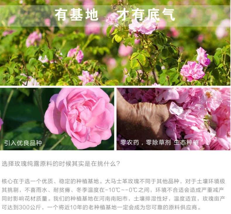 微信截图_20200602162525