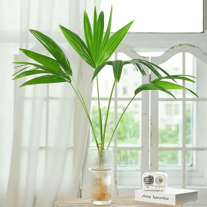 Большой веер подсолнух в горшках четыре сезона гидропонных растений в помещении хороший офис