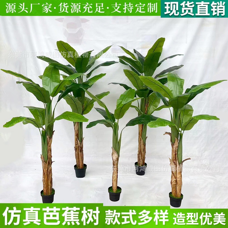 仿真绿植芭蕉树香蕉树 大型客厅商场橱窗装饰仿真盆景热带仿真树