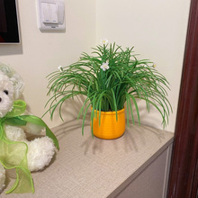 【4284次回购】卧室绿植漂亮装饰小盆栽清新家居仿真花桌面盆栽摆