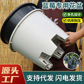 特大塑料花盆蓝莓盆加厚加仑盆大号育苗盆苗圃专用盆栽花盆批发