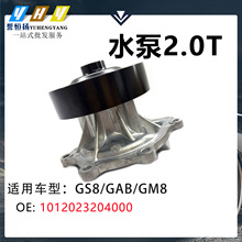 �����ڴ���GS8/GAB/GM8 ˮ��2.0T 1012023204000