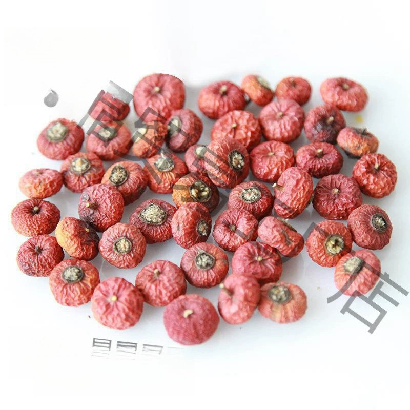 DIY Фруктовая ракушка Pinecorus Деревянный элемент Лист Засушенный цветок Фрукт Комбинация Рождество Установлено Детский сад Декор Винтаж Предложение