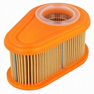 Filtro Aria 792038 Motore 700E, 750EX DOV, 775iS - O Originale Briggs E Stratton