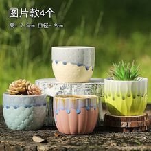 新品手绘钱钱袋系列多肉花盆钱串子粗陶透气耐用多肉植物盆栽花盆