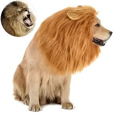 Funny Pet Hat Lion Mane for Dogs Cat Cosplay Dress up Puppy