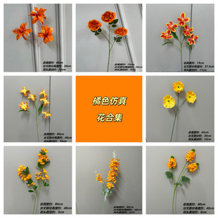 ��ɫϵ���滨�ϼ��f���m��β�mС�w��ٺϹ����b��Ĕz���߷Շ���