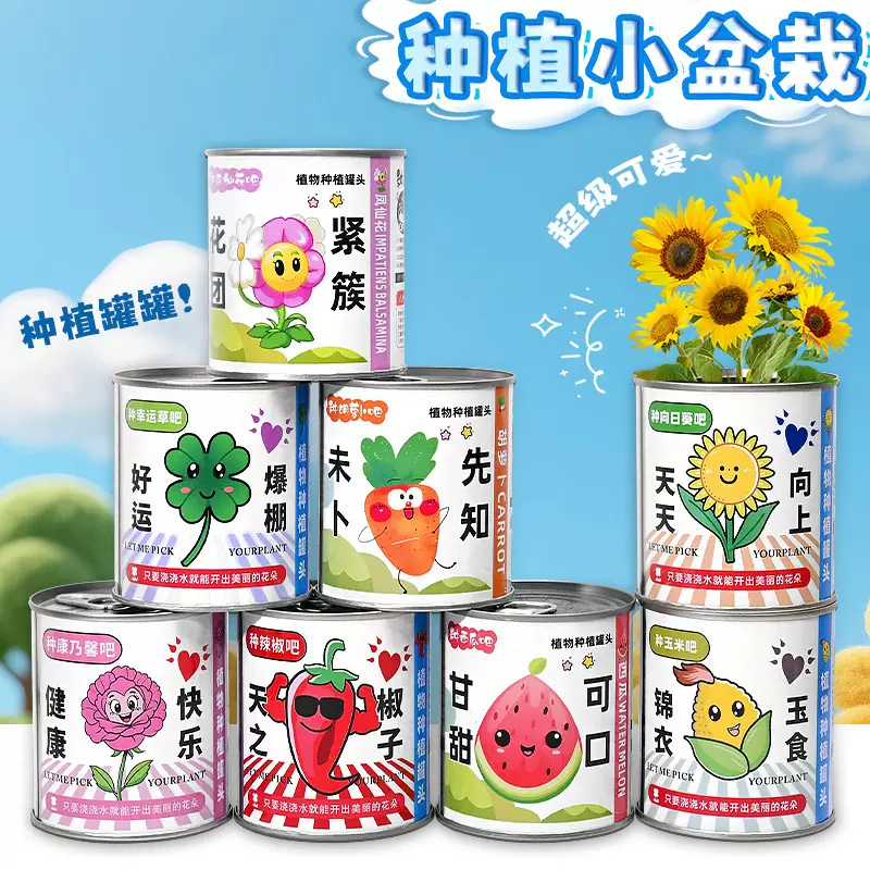 创意易拉罐盆栽植物罐头办公桌面养眼绿植趣味种植小学生礼物批发