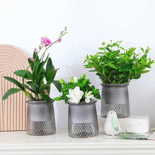 ���˾Gֲ����С��������ȩ���B����ˮ����m�lؔ���k���҃�Сֲ��