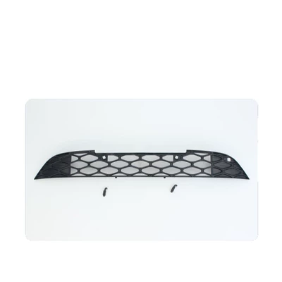 and assembly, exterior modification, Automobile anti-insect net