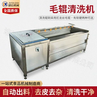 定制气泡清洗机 毛辊去皮清洗机 红薯土豆青菜莲藕去泥清洗机厂家