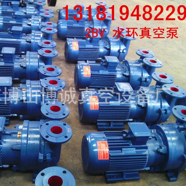 厂家直销2BV5110.5111.5121水环式真空泵 真空机组