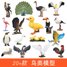 �����B�ģ�� ���������W�^��ȸ�����B�[�� ��ͯ���С�B�w�����