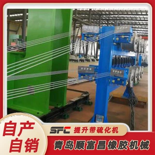 源头厂家货源 加热加压均匀可配冷却机定型 矿山工业提升带硫化机
