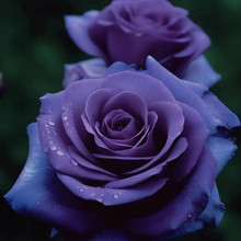 ��Ϯa��ֱ�lϡ��õ���¼��Ϙ����������ͺ��͟���ļ�����ͥԺ