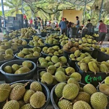 25���R����������D197؈ɽ����ɏ10�^��Һ�����ˮ���������l�Fُ