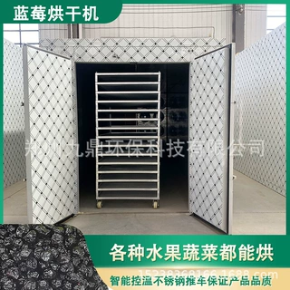 蓝莓烘干机空气能苹果蓝莓干果脯脱水烘干房大型水果干烘干设备