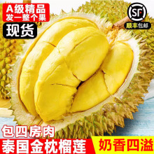 ̩��������ɏ�M����S���]���rˮ��һ�������䑪��10���^�������