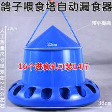 *����ʳ������ιʳ��С�u�����ϲ����Z�����Ԅ�ιʳ������ʳ��