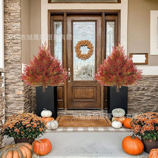 �羳���R�d���u���}�Q�b�Ʒ�ز��Ҿ�ͥԺ�[������b�