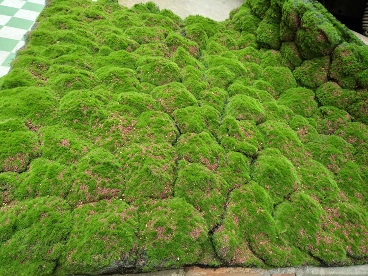 QQ图片20220701141714_副本