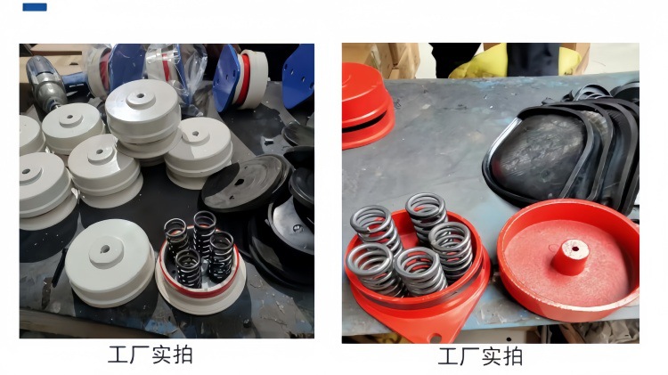 微信图片_20250217103107_副本_副本