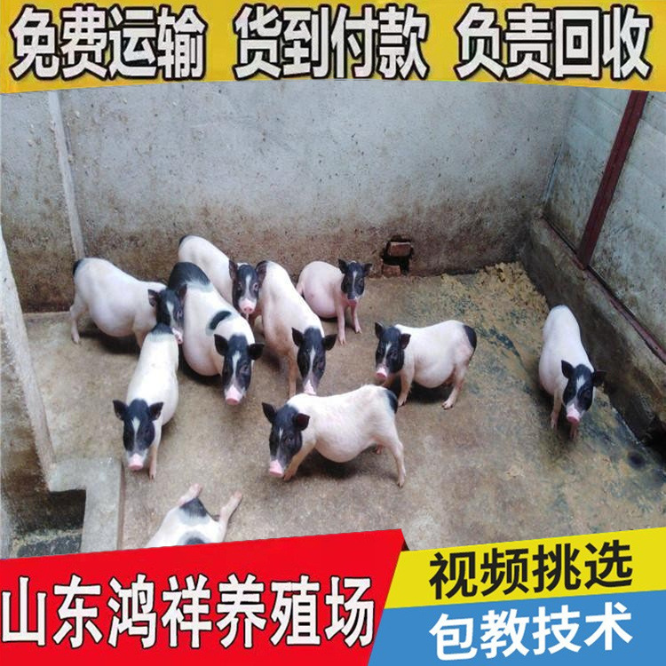 conew_u=2339125341,311565614&a