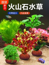 ������ɽʯˮ��ֲ��С�~���쾰������ˮ����ԾG�Ճ���ˮ�|�ײ�