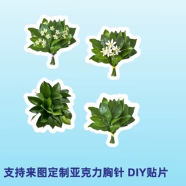 胸针;动漫明星挂件;钥匙扣及钥匙扣配件