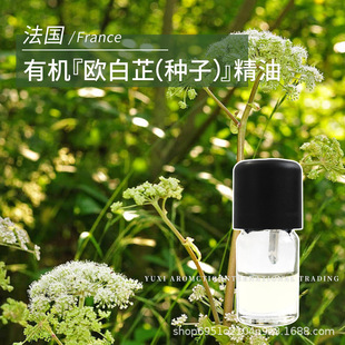 �����a�W���ƷN����ȡ����ݱ����1ml�η���ji�W���ƷN�Ӿ���